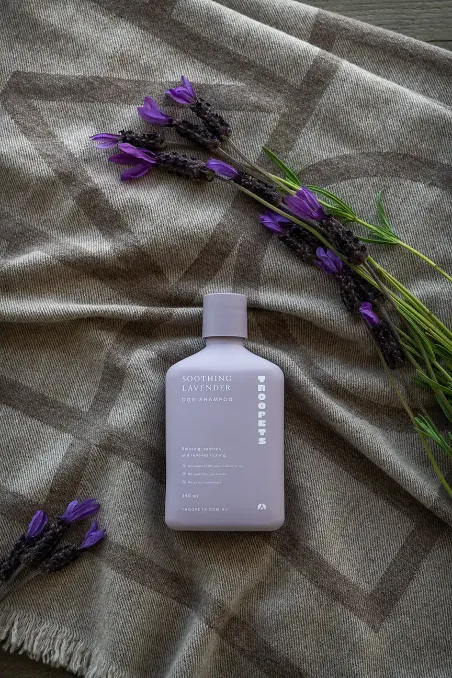 Lavender Dog Shampoo
