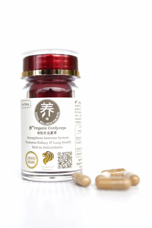 养™ Yo Organic Cordyceps 有机冬虫夏草 for Pets (30 Vege Capsules per Bottle 200mg of Cordyceps per Capsule)
