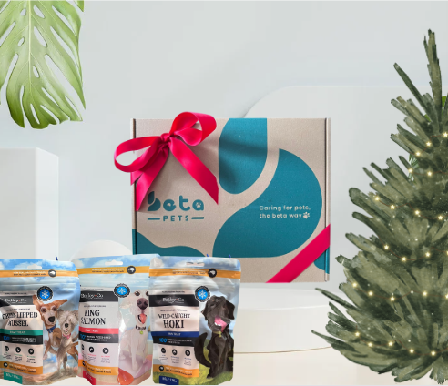 Enchanted Christmas Treat Set